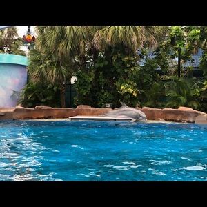 Meet your Posher, Khalid